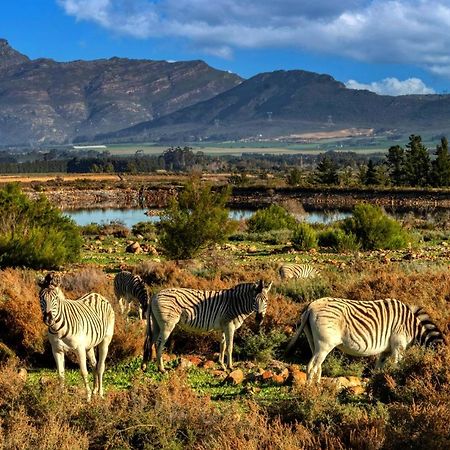 Villa Welbedacht Game&Nature Reserve Tulbagh Exterior foto