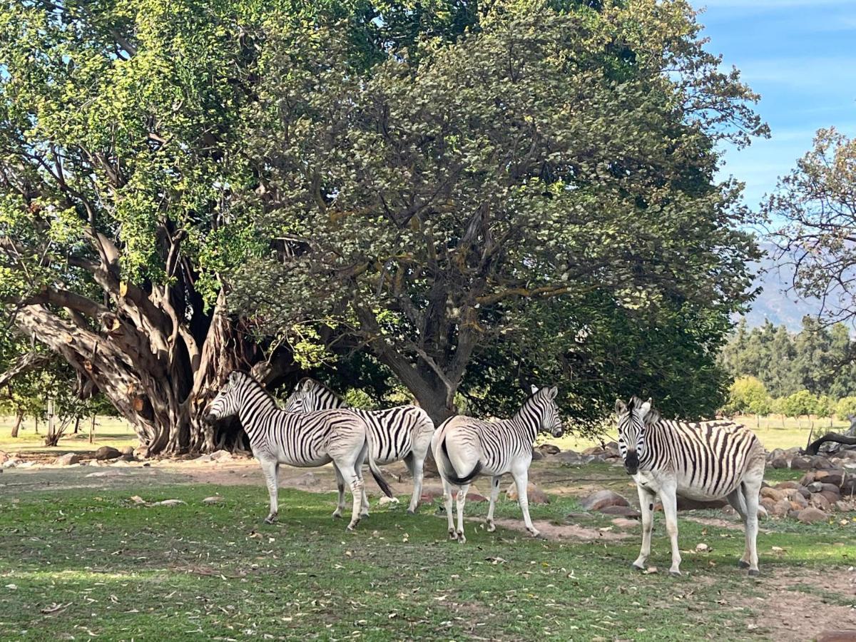 Villa Welbedacht Game&Nature Reserve Tulbagh Exterior foto