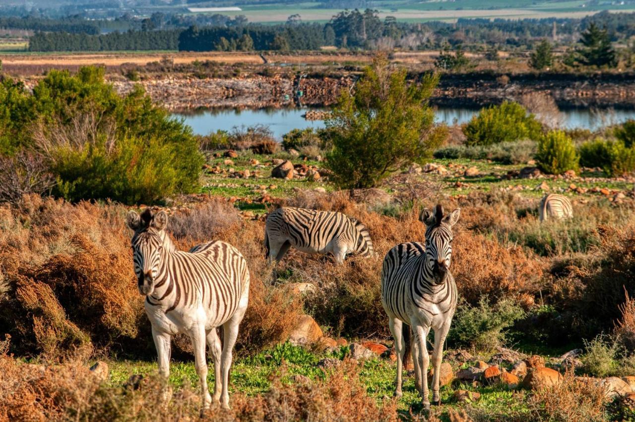 Villa Welbedacht Game&Nature Reserve Tulbagh Exterior foto