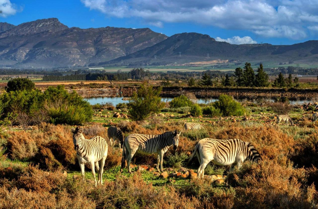 Villa Welbedacht Game&Nature Reserve Tulbagh Exterior foto